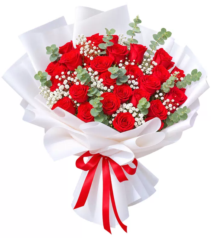 Bó hồng đỏ, giấy trắng, nơ đỏ