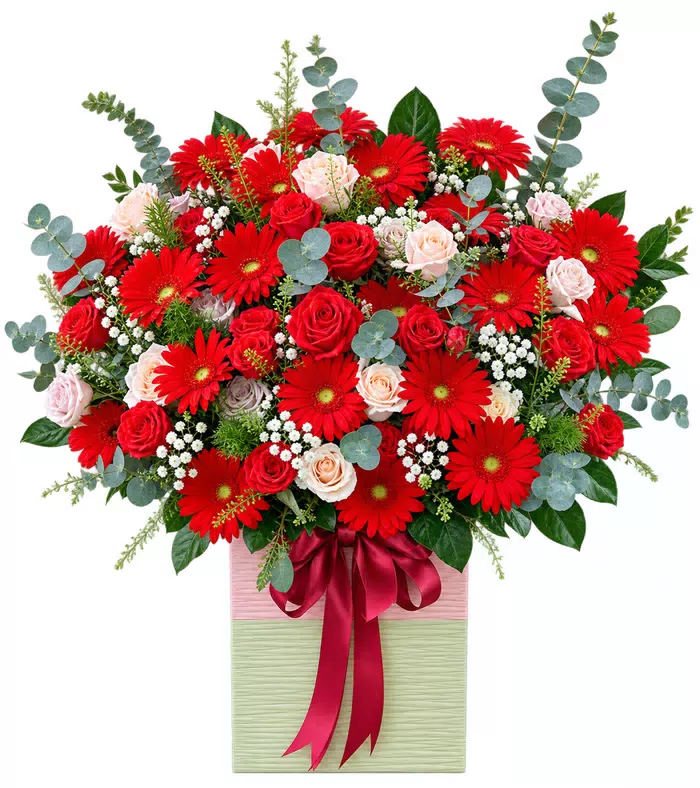 Hộp đồng tiền đỏ