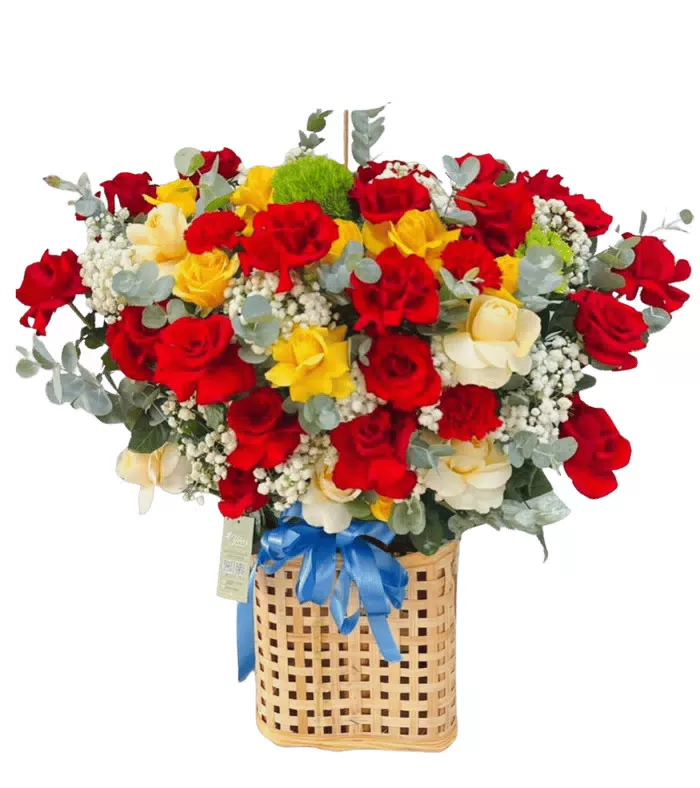 Giỏ hồng đỏ, nơ xanh dương lớn