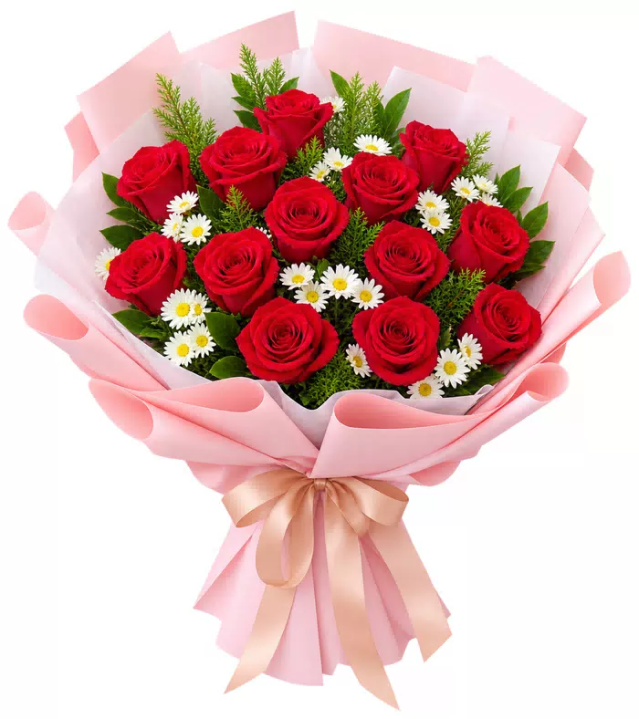 Bó hồng đỏ phối cúc nhỏ, nơ kem