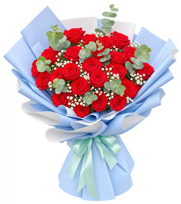 Bó hồng đỏ, giấy xanh