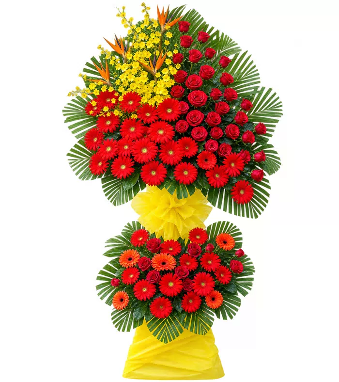 Kệ khai trương đồng tiền đỏ hai tầng