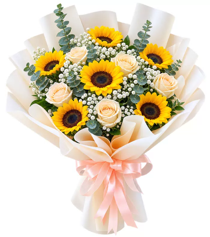 Bó hoa hướng dương phối hồng kem