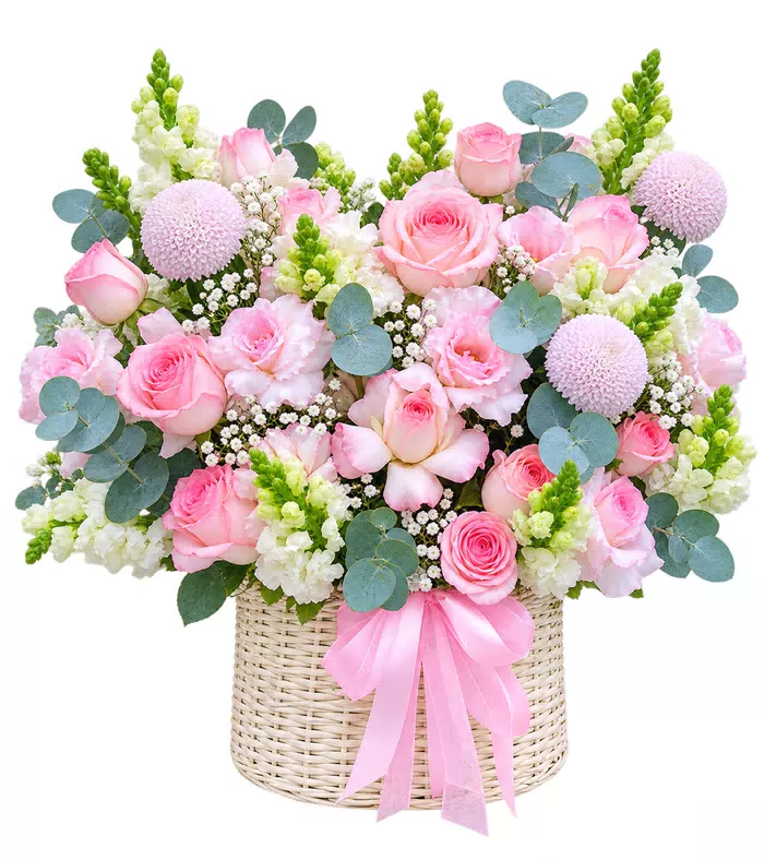 Giỏ hồng phấn phối cúc tím