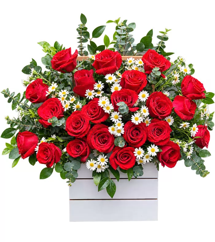 Hộp hồng đỏ cúc trắng