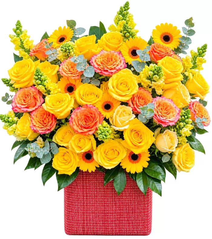 Giỏ hoa hướng dương hồng vàng, giỏ đỏ