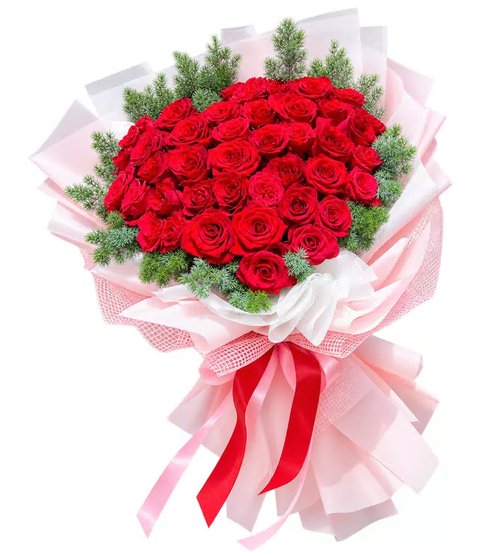 Bó hồng đỏ, giấy hồng nhạt