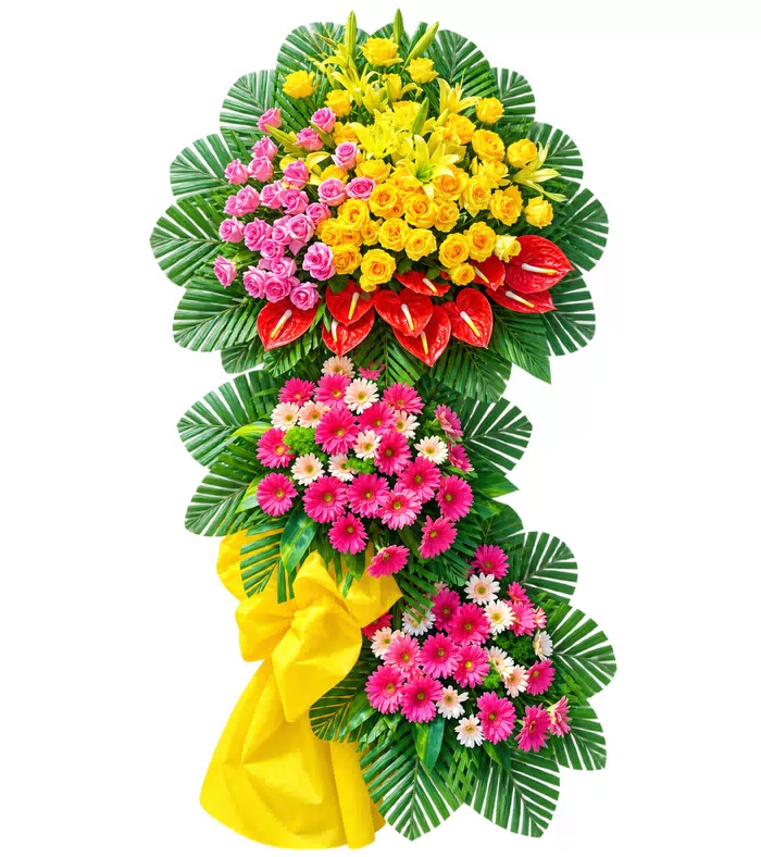 Kệ khai trương vàng hồng ba cụm