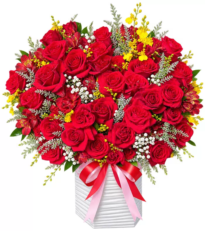 Hộp hồng đỏ phối lan vàng