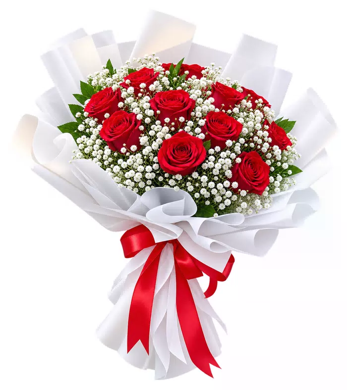 Bó hồng đỏ, giấy trắng, nơ đỏ