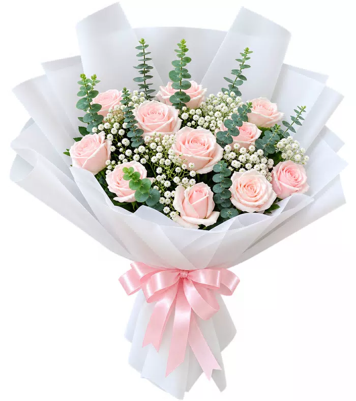 Bó hồng phấn, giấy trắng