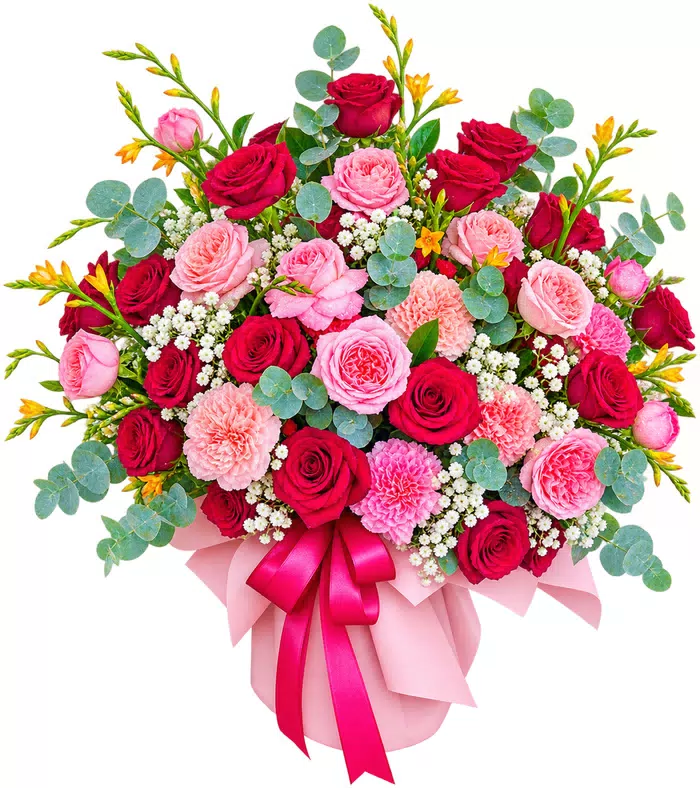 Hộp hồng phấn phối màu