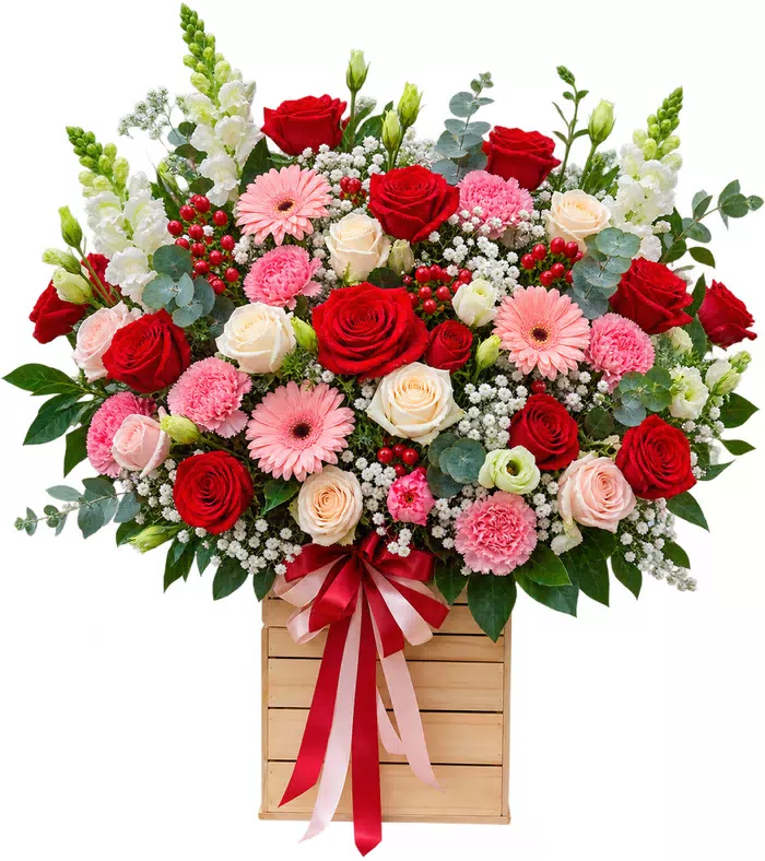 Hộp hồng đỏ đồng tiền hồng