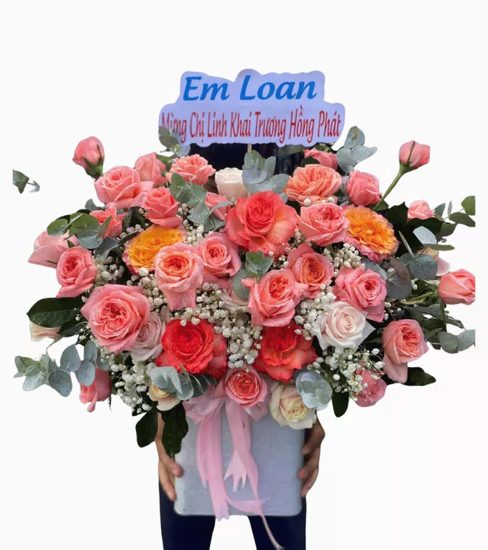 Hộp hồng san hô