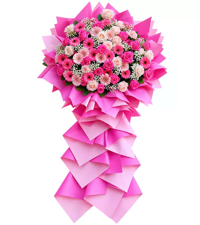 Kệ khai trương hồng phấn, cụm hoa tròn