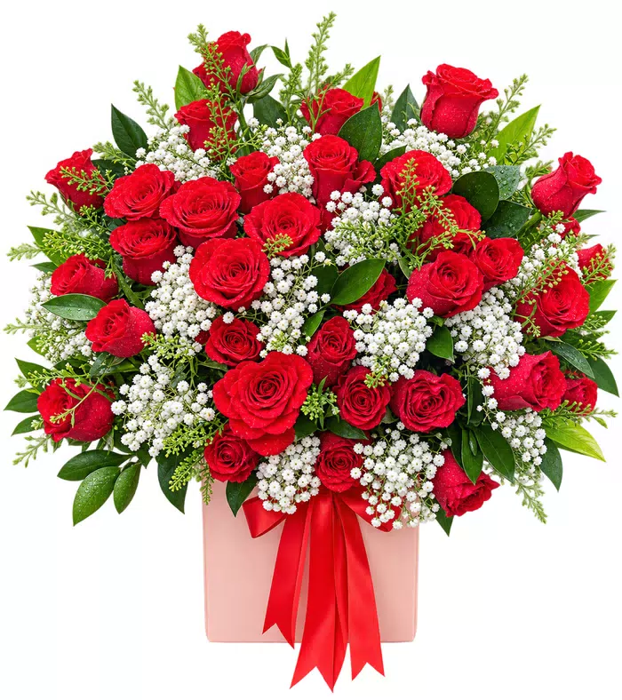 Hộp hồng đỏ phối lá xanh