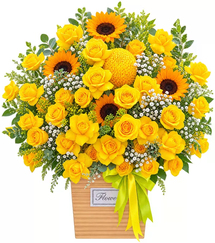 Hộp hồng vàng phối hướng dương