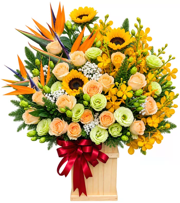 Hộp hoa hướng dương thiên điểu