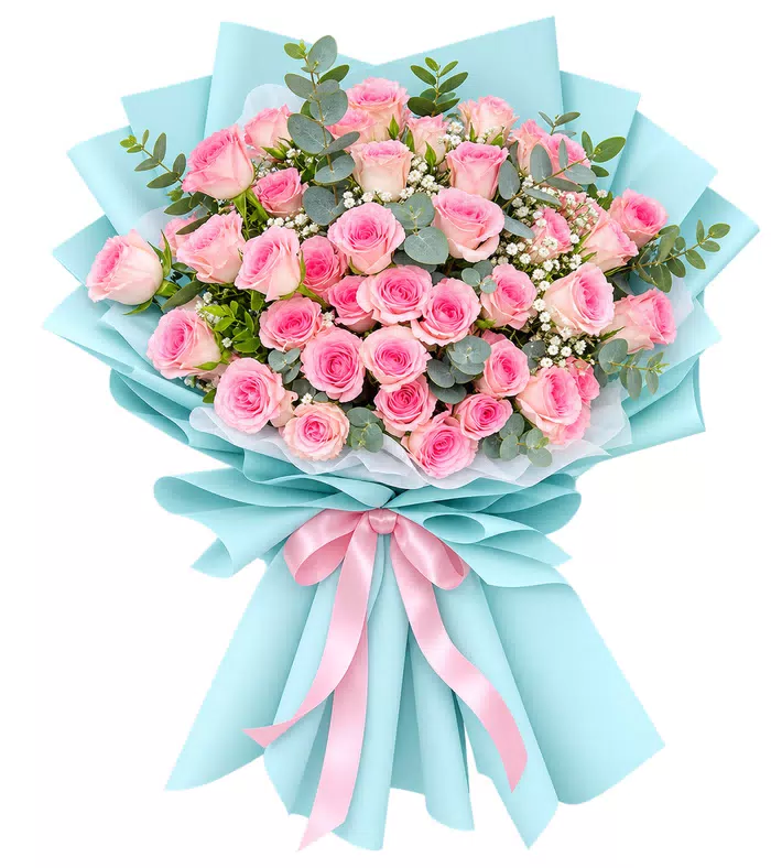 Bó hồng phấn gói xanh, nơ hồng