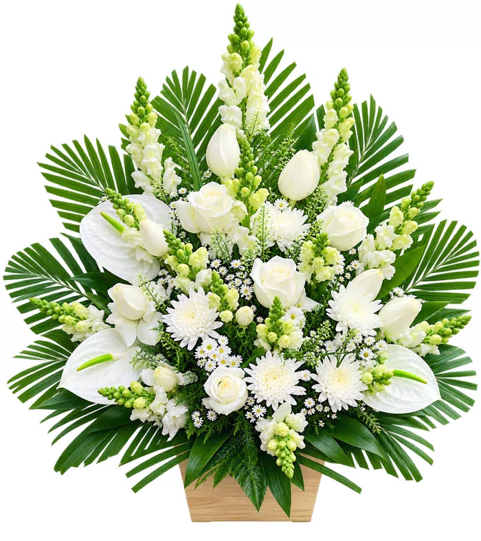 Giỏ hoa phân ưu trắng xanh, nụ xanh và lá bản lớn