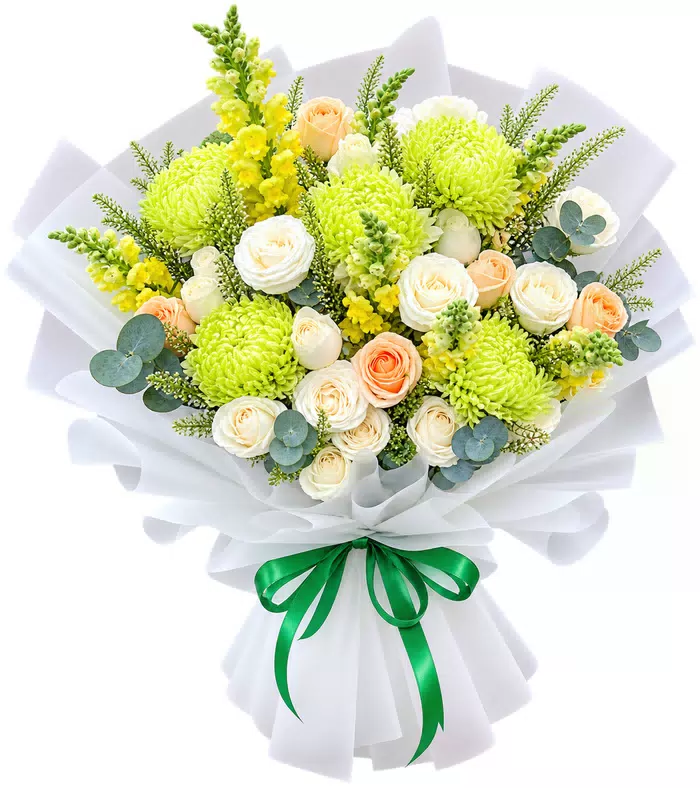 Bó hoa cúc xanh phối hồng kem