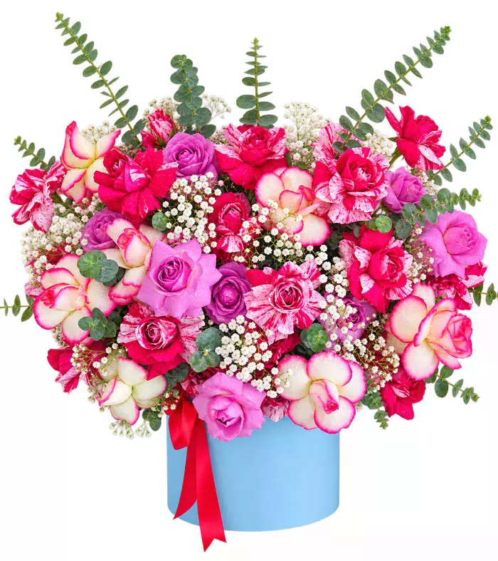 Hộp hồng tím phối màu