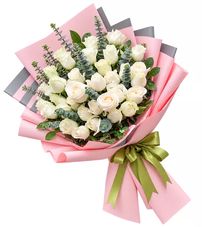 Bó hồng trắng, giấy hồng