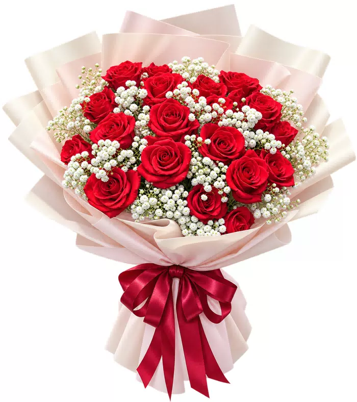 Bó hồng đỏ kem, giấy hồng