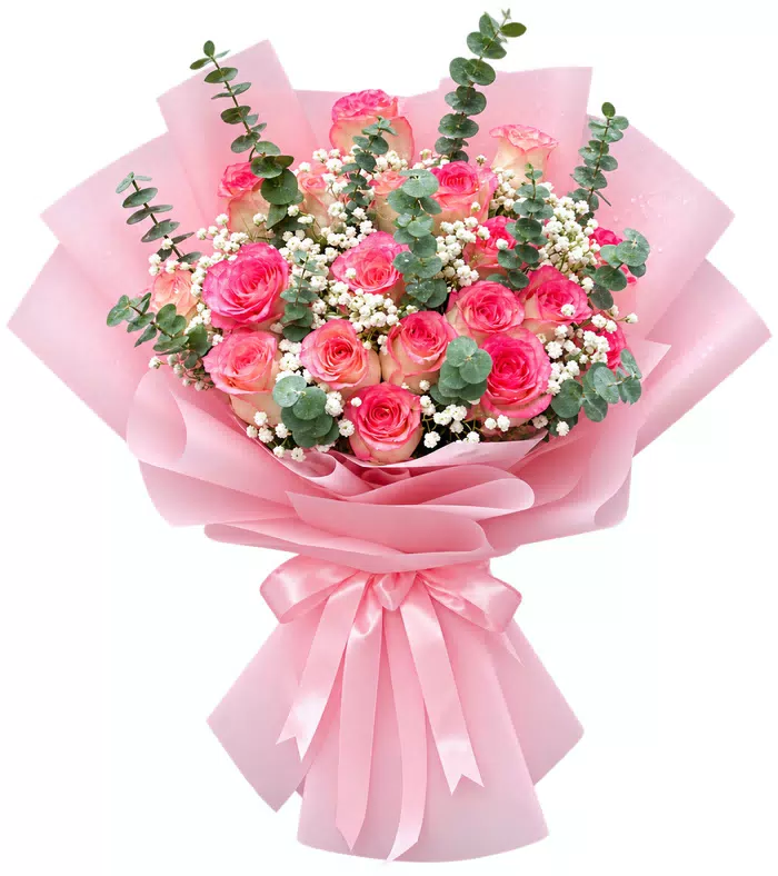 Bó hồng phấn điểm baby
