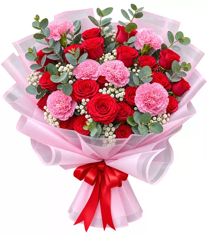 Bó hồng đỏ phối cẩm chướng, nơ đỏ