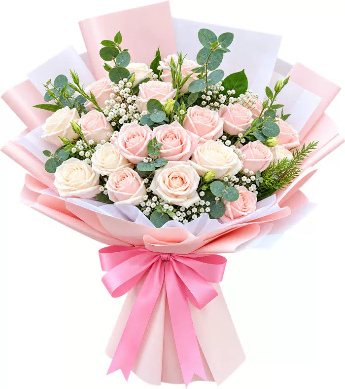 Bó hồng phấn, giấy trắng hồng, nơ hồng