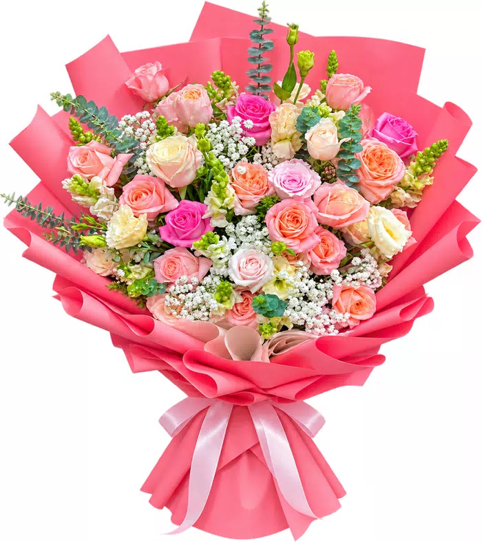 Bó hồng pastel, giấy hồng đậm