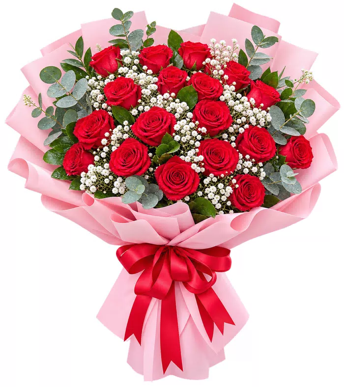 Bó hồng đỏ gói hồng, nơ đỏ