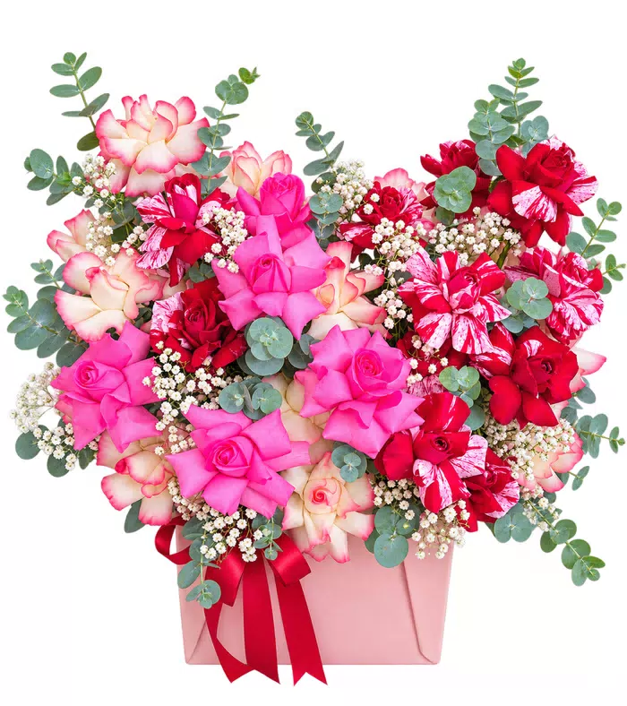 Hộp hồng phối lan hồng
