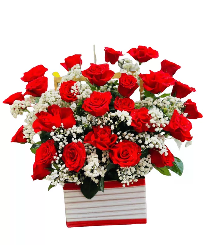 Hộp hồng đỏ phối vài bông vàng
