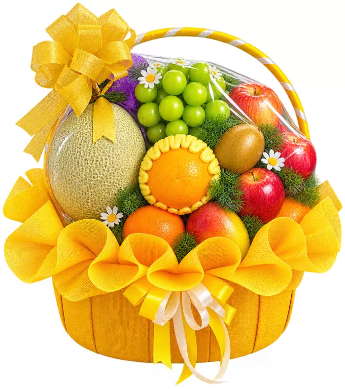 Giỏ trái cây lưới vàng, quả có múi và nơ vàng