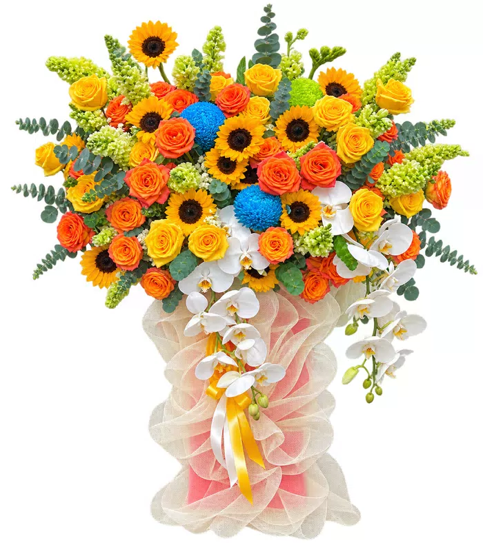 Giỏ hoa hướng dương lan trắng