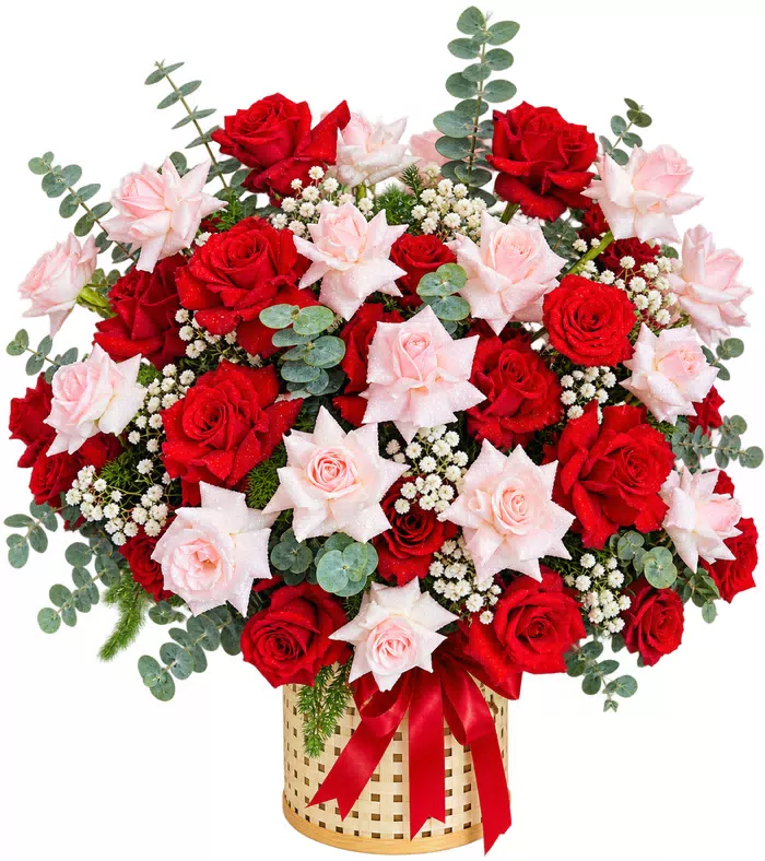 Giỏ hồng đỏ phấn, nơ đỏ