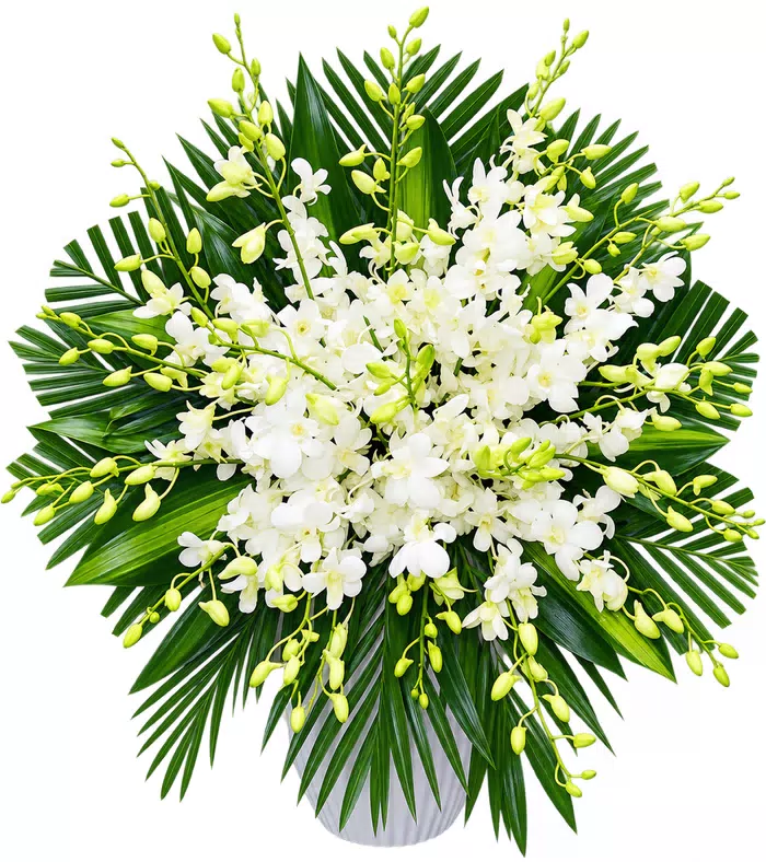 Giỏ hoa phân ưu lan trắng