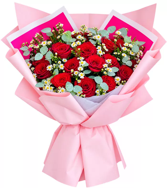 Bó hồng đỏ phối cúc nhỏ, nơ hồng
