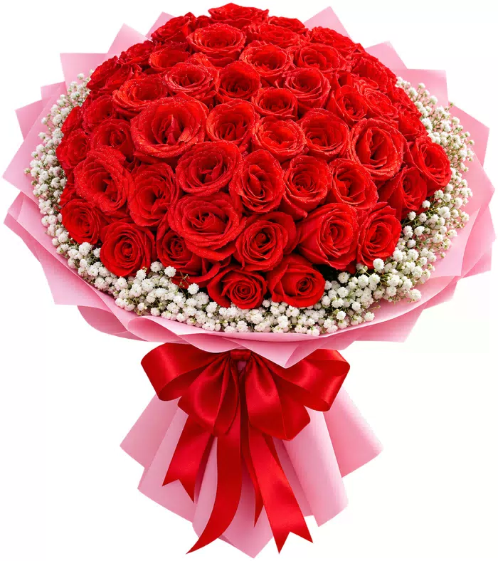 Bó hồng đỏ tròn gói hồng