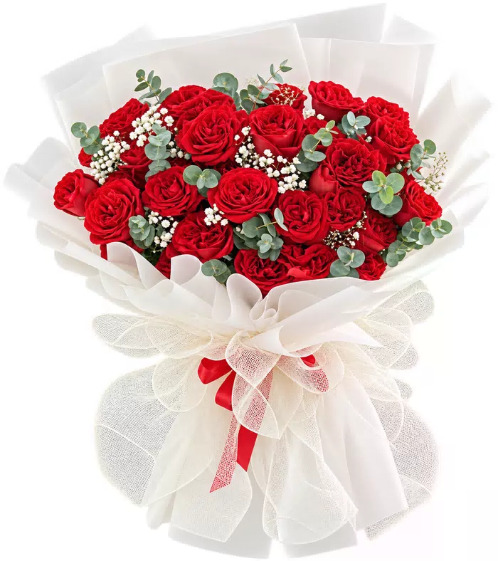 Bó hồng đỏ gói trắng, nơ đỏ