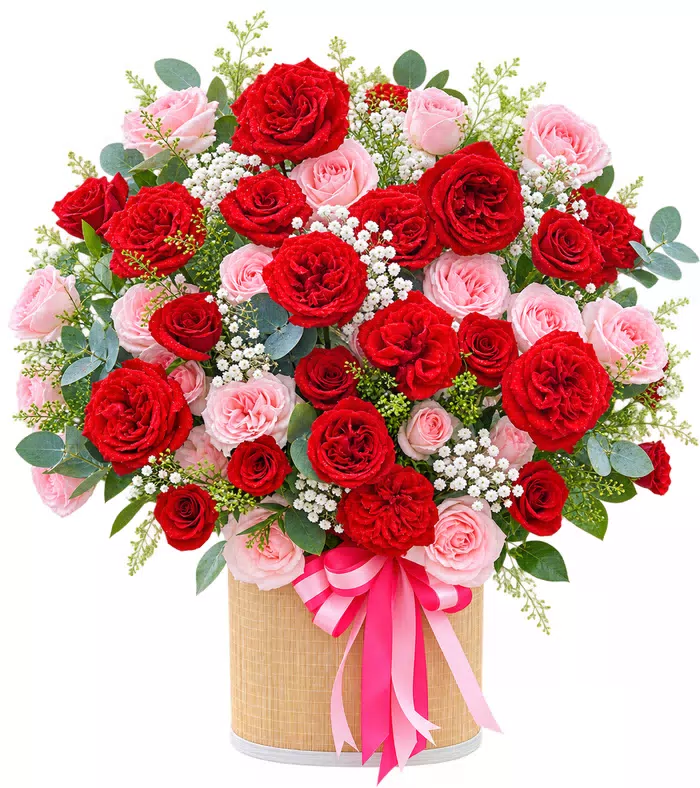 Giỏ hồng đỏ phấn, nơ hồng