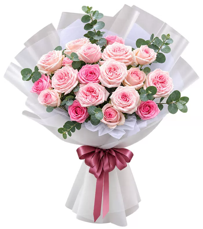Bó hồng phấn phối lá bạc, nơ hồng đỏ sẫm