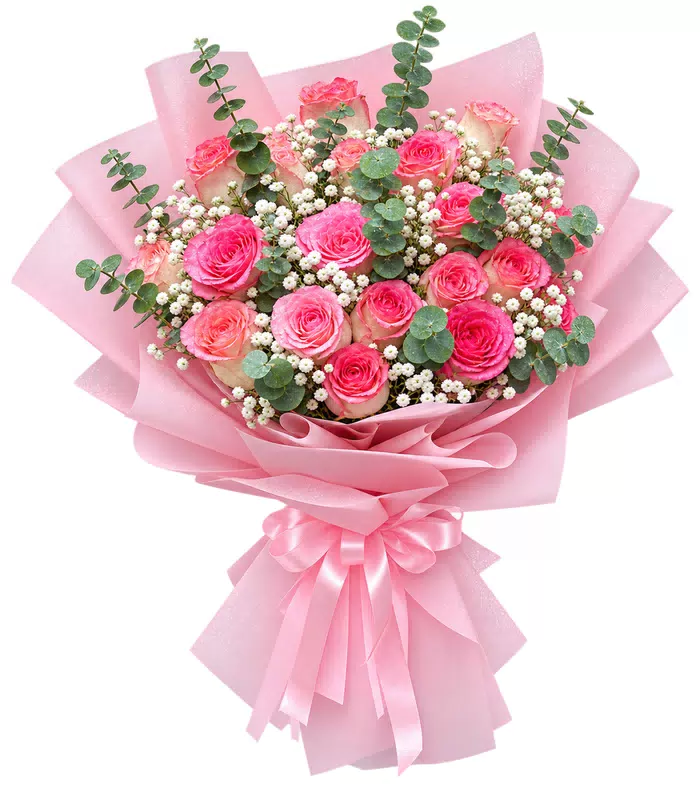 Bó hồng phấn, giấy hồng, nơ hồng