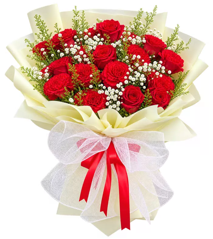 Bó hồng đỏ, giấy vàng kem, nơ đỏ