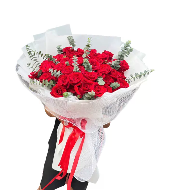 Bó hồng đỏ, giấy trắng phối lưới