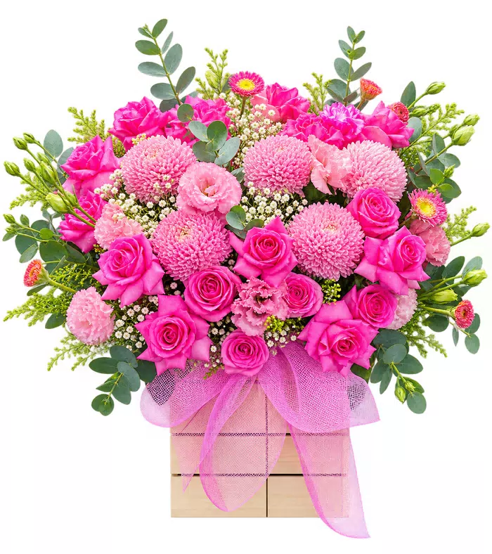 Hộp hồng tím phối cúc
