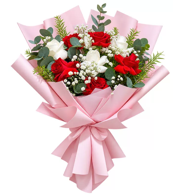 Bó hồng đỏ điểm hoa trắng, giấy gói hồng và nơ hồng