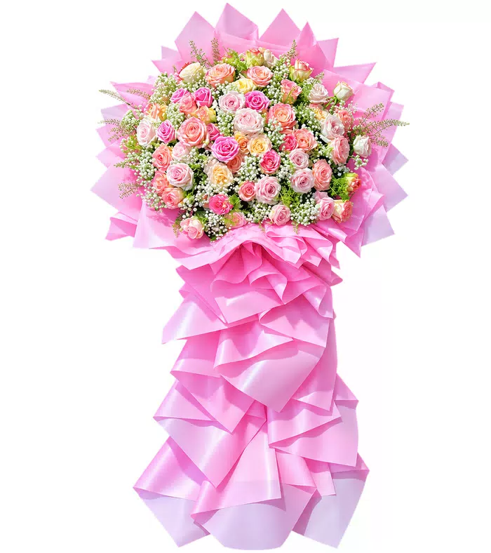 Kệ khai trương hồng phấn, giấy hồng